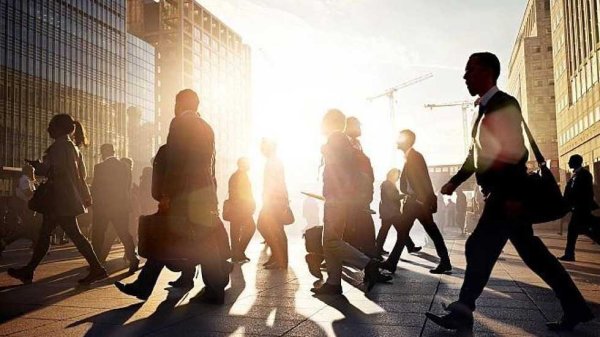 证配所 粤宏远A：2024年净亏损4769.84万元，同比由盈转亏