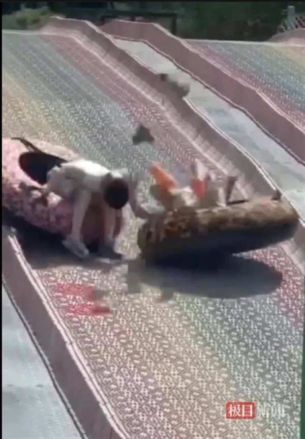 华夏理财 &ldquo;彩虹滑道&rdquo;项目两男童相撞飞跌出去，景区：工作人员误判导致