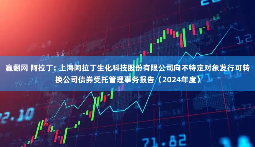 赢翻网 阿拉丁: 上海阿拉丁生化科技股份有限公司向不特定对象发行可转换公司债券受托管理事务报告（2024年度）