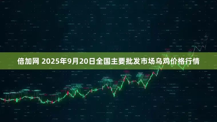 倍加网 2025年9月20日全国主要批发市场乌鸡价格行情