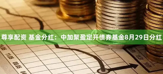 尊享配资 基金分红：中加聚盈定开债券基金8月29日分红